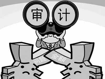 銘熙和您淺談審計的那些事！